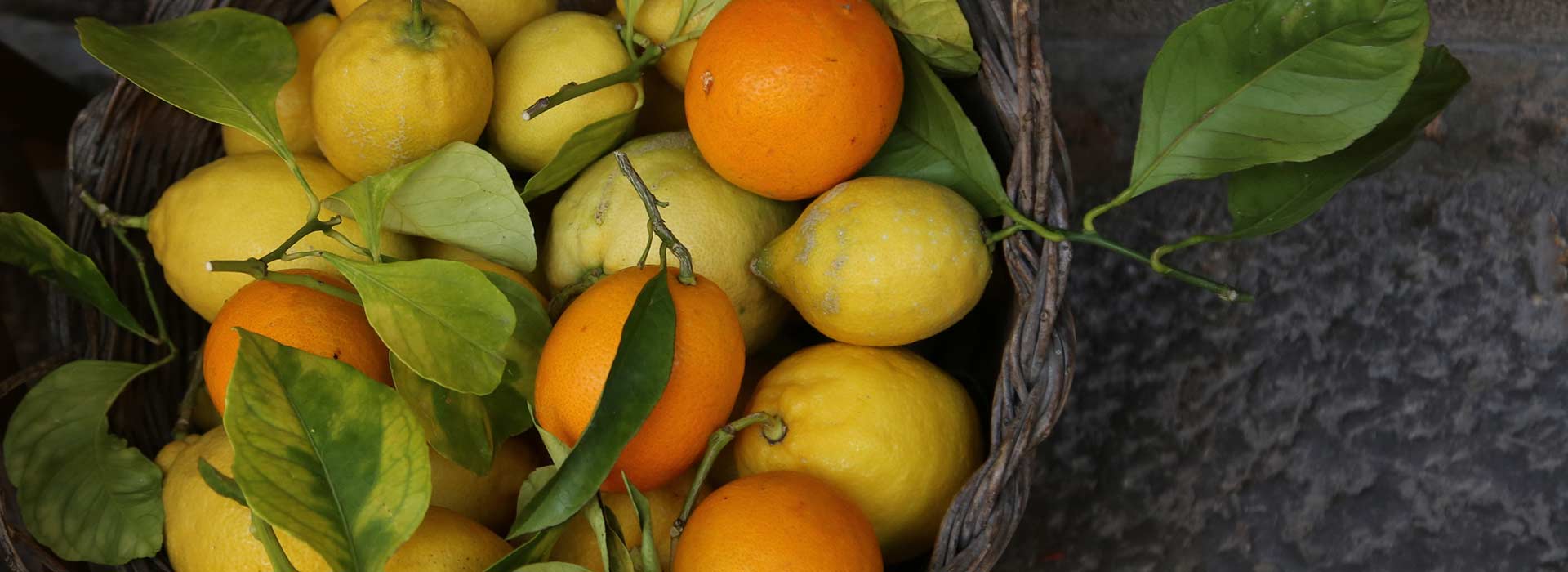 GEWUSST WIE: OBST UND GEMÜSE RICHTIG LAGERN